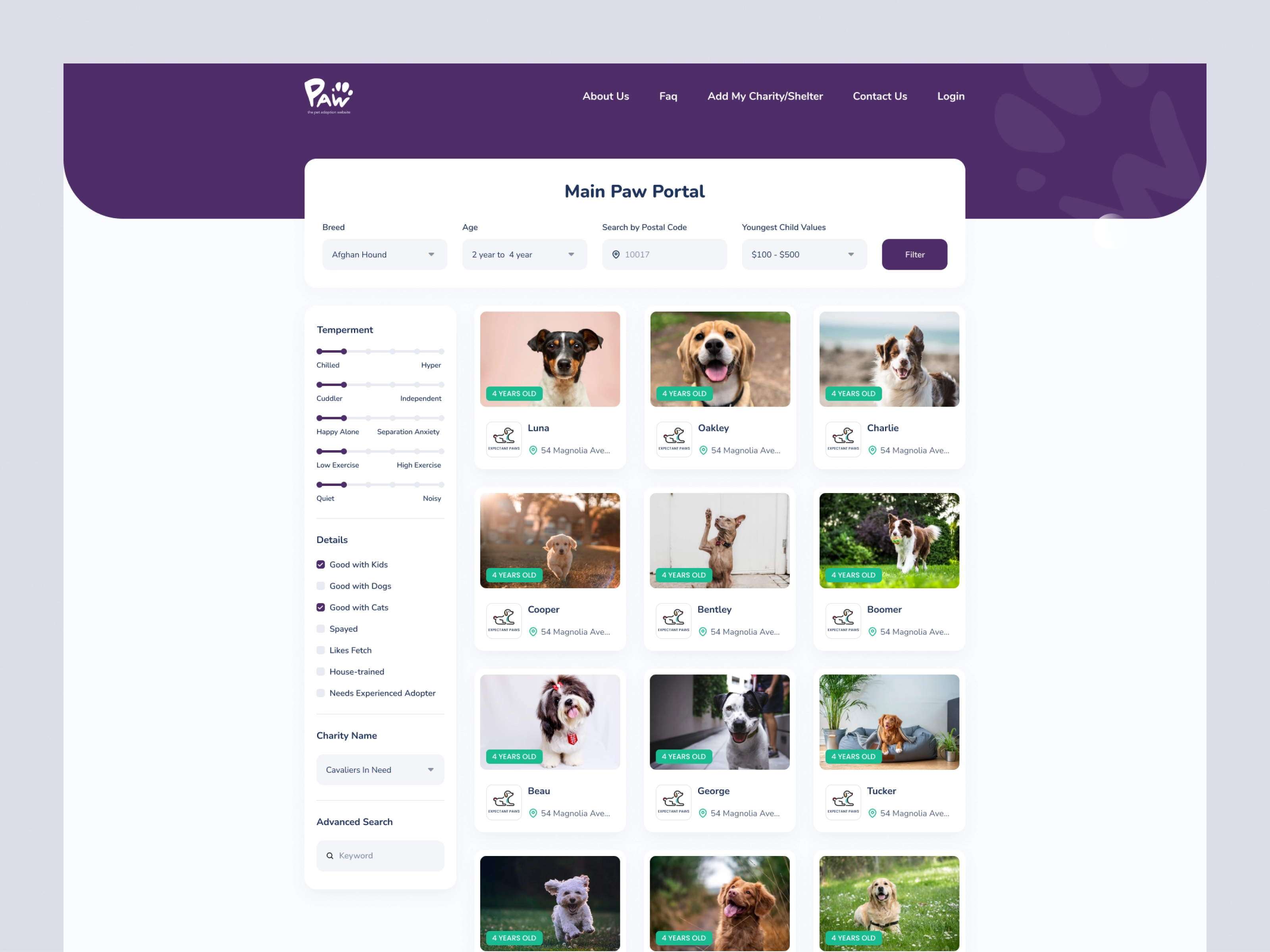 Pet Adoption Website UI/UX Design